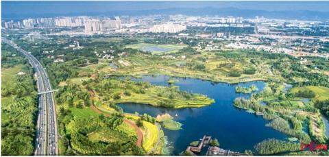 2025精准资料大全免费查询，全面释义、解释与落实