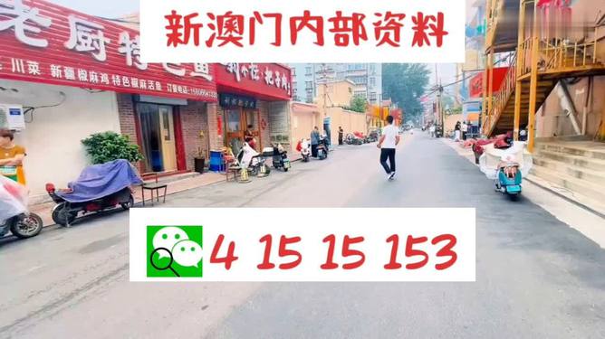 新2025年澳门天天开好彩，全面释义、解释与落实