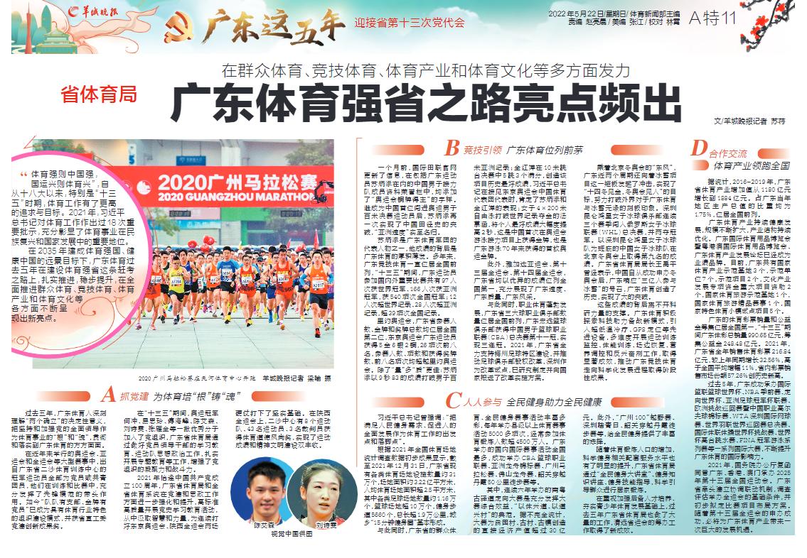 2025新澳门天天精准免费大全，详细解答、解释与落实