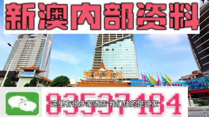 新澳2025精准正版免费，实用释义、解释与落实