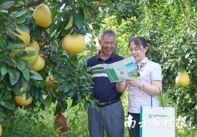 2025精准免费资料大全全面释义、解释与落实